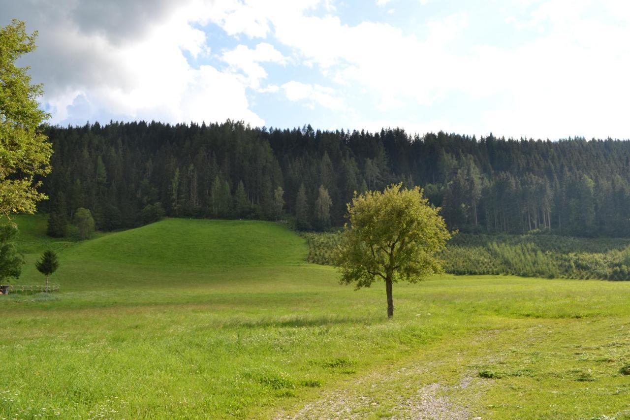 Ferienwohnung Ertlerhof Ranten Bagian luar foto